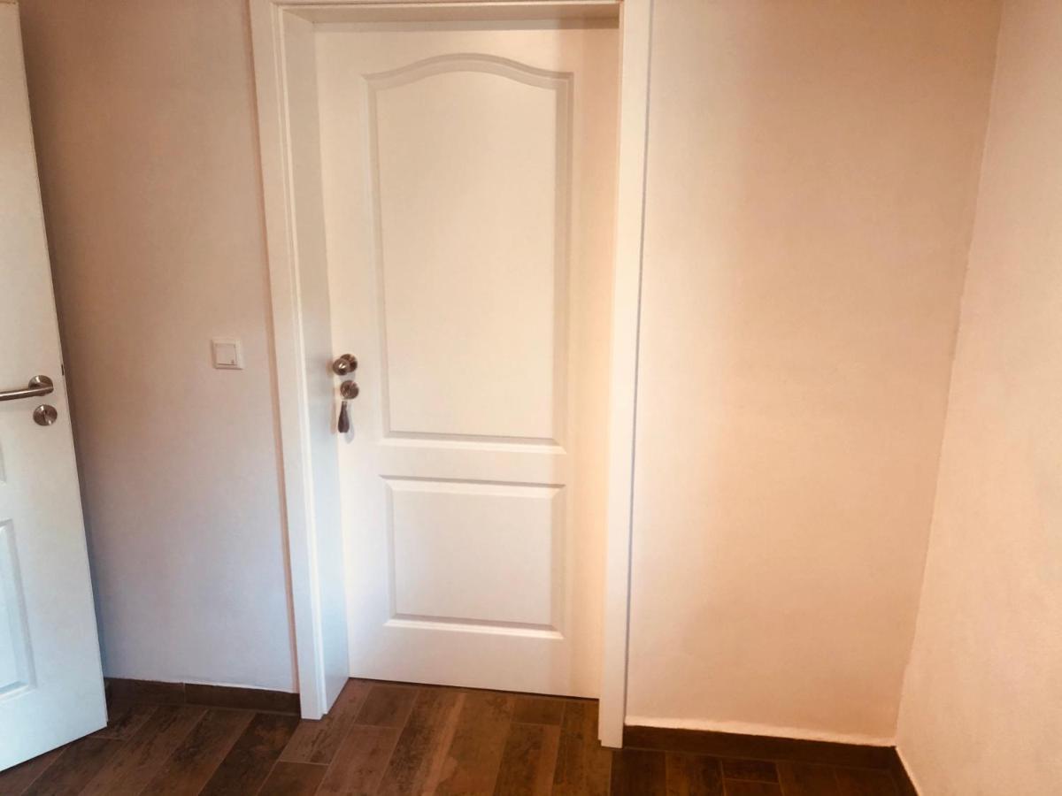 Ferienwohnungen Mey Haus Zum Rosenstock 埃尔福特 外观 照片