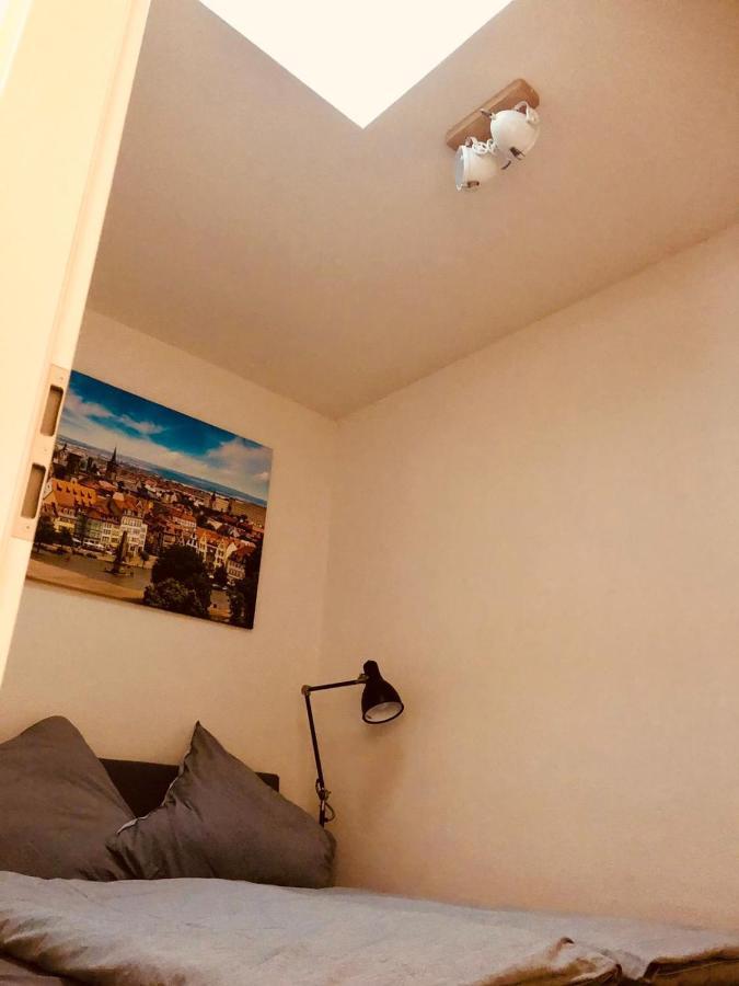 Ferienwohnungen Mey Haus Zum Rosenstock 埃尔福特 外观 照片